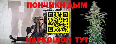 гидра Краснознаменск