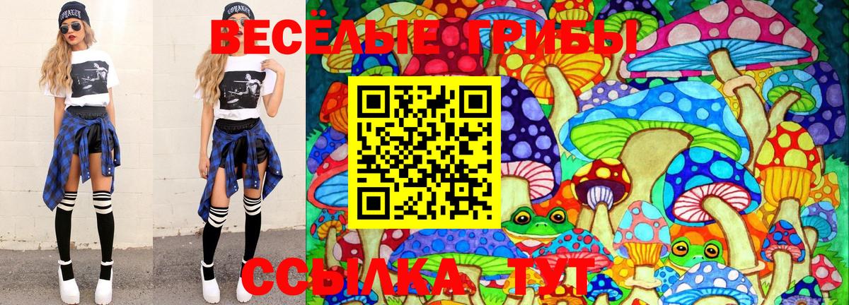 Псилоцибиновые грибы MAGIC MUSHROOMS Урюпинск